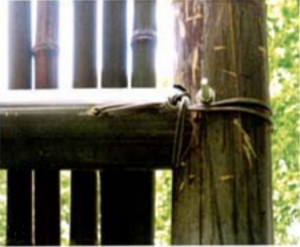 竹梁柱连接形式一梅卯型