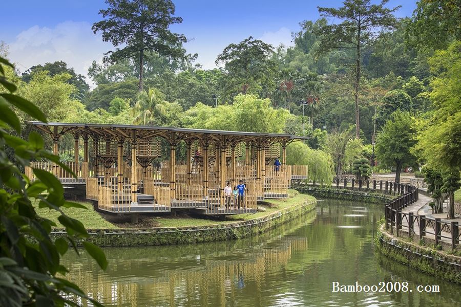 马来西亚：竹游乐场-境道原竹