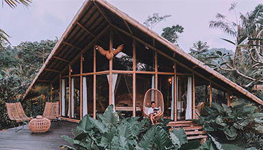 特色竹房子建筑与个性木屋建筑你会选择哪一个呢？