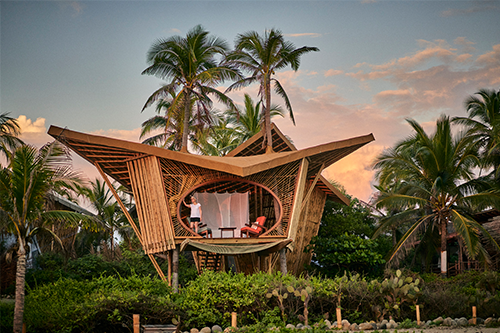国外经典高端竹结构打造的海滨树屋社区-竹子造型符合客户审美观