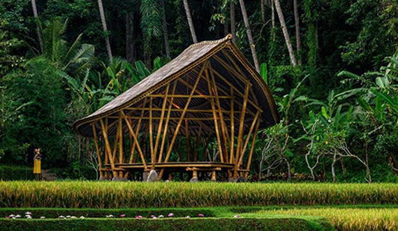 个性竹结构瑜伽馆 特色竹亭–印尼