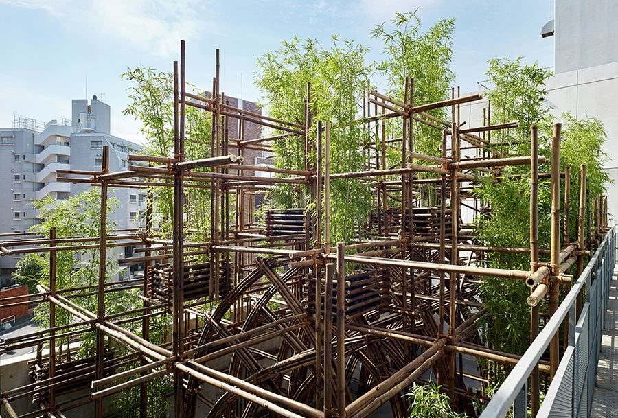 日本:竹森林-境道原竹