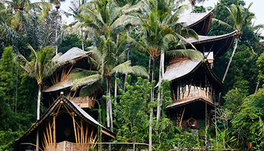 个性竹建筑 ”竹泪”树屋建筑 –印尼巴厘岛