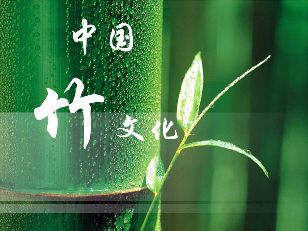 竹子文化的“古往今来”一一道来