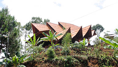 特色竹建筑 寺庙竹建筑 宗教竹建筑 -印尼：鸡巢剧场