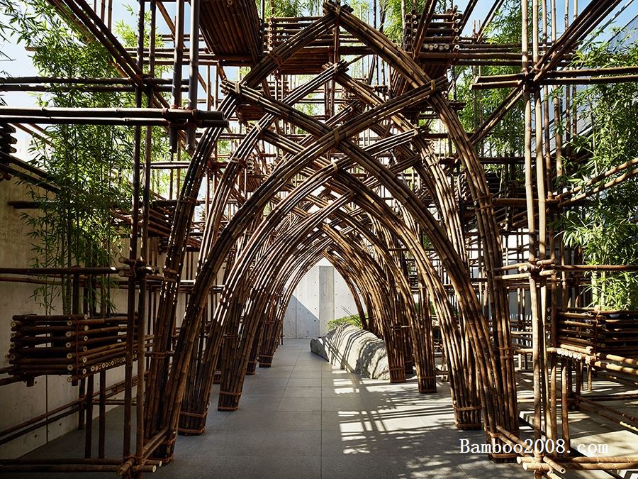 分享日本特色竹子打造的竹深林景观项目鉴赏