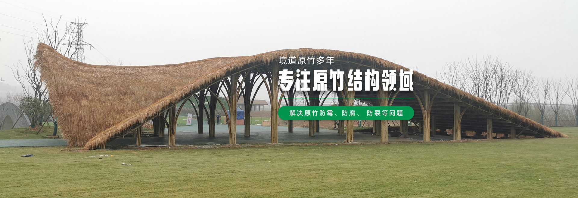 四川境道原竹